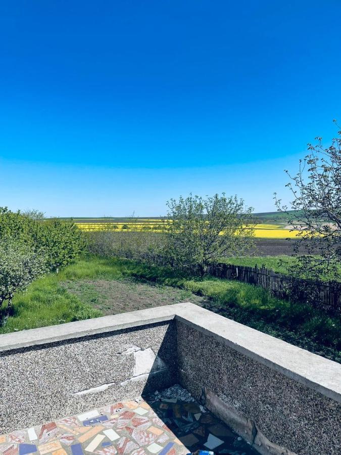 La Elvetian Hotell Iasi Exteriör bild